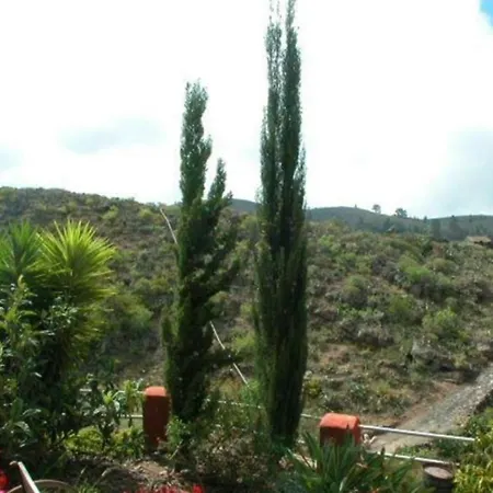 Casa Amarilla 펜션